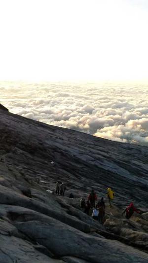 seo蜘蛛池教程截图2