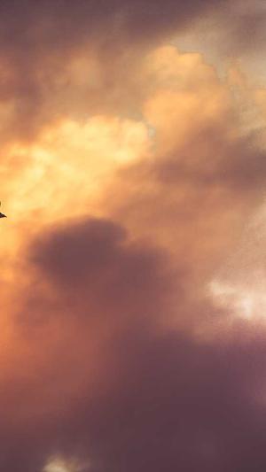 蜘蛛池搭建优化方案截图4