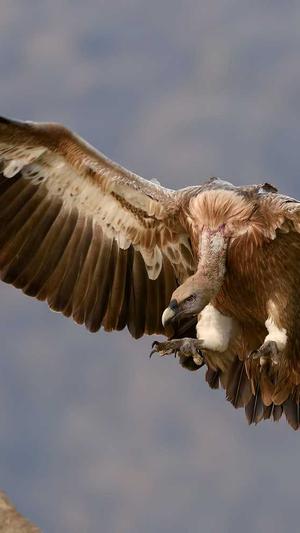 常州seo优化截图1