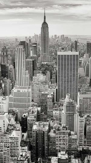 贵州蜘蛛池出租包月截图2