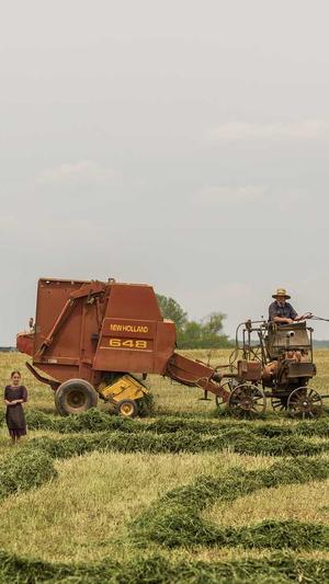 seo软件优化工具截图3