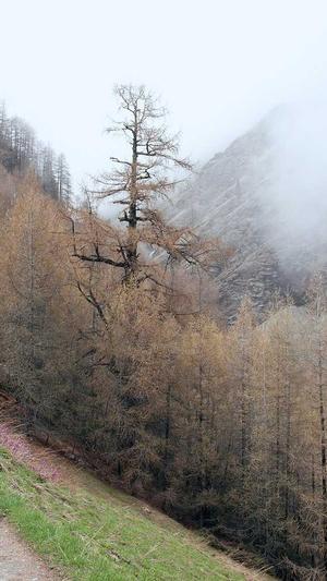 seo采集工具有哪些截图2