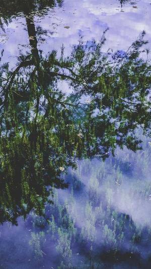 高酷蜘蛛池是什么截图4