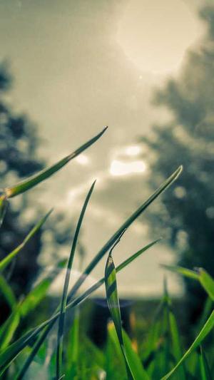 seo网站优化课程截图4