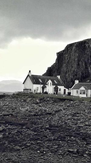 新手怎么做蜘蛛池工作截图2