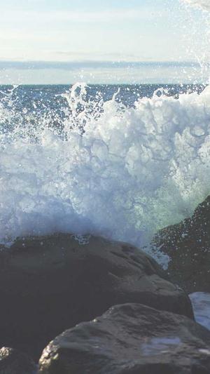 泛目录二级域名截图2