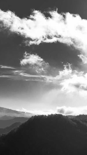 阿里云蜘蛛池截图2