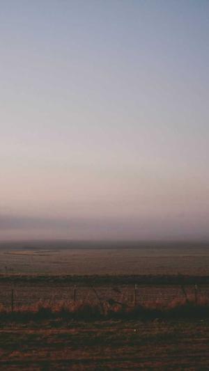 蜘蛛池到底有没有用截图3