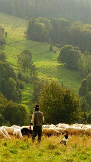 黑帽寄生虫泛目录截图2
