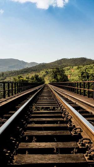 蜘蛛池收录快吗截图4