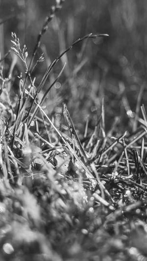 泛目录源码下载截图3