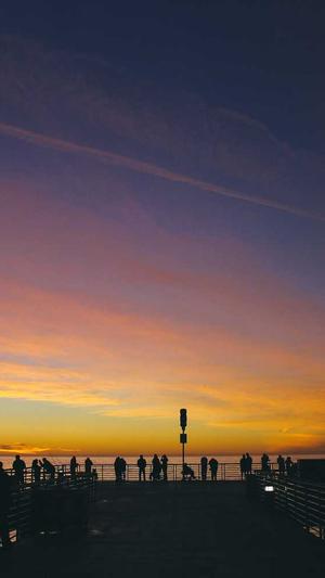 蜘蛛池软件 好截图3