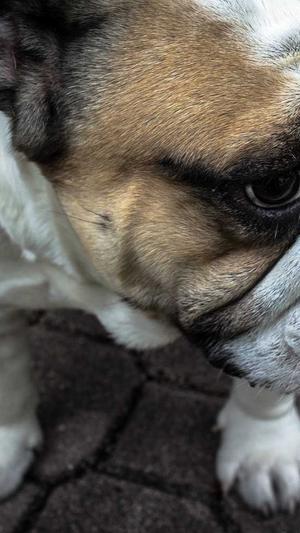 东莞网站建设网站建设截图2