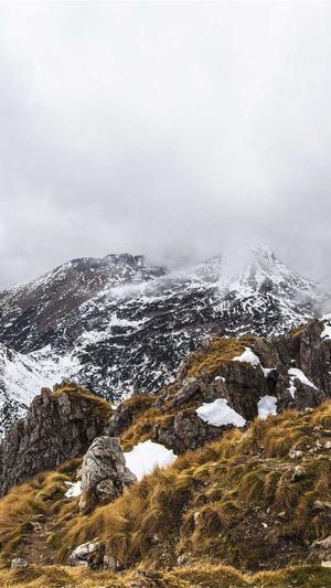 泛目录谷歌截图1