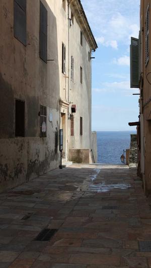 免费网站seo诊断截图3