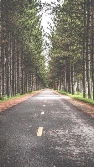 网站如何改蜘蛛池截图1