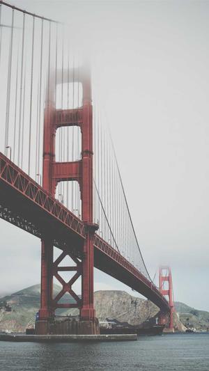 贵州省住房和城乡建设厅网站官网截图2