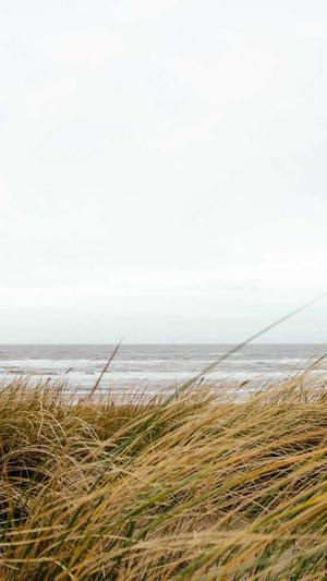 免费网站建设网站截图5