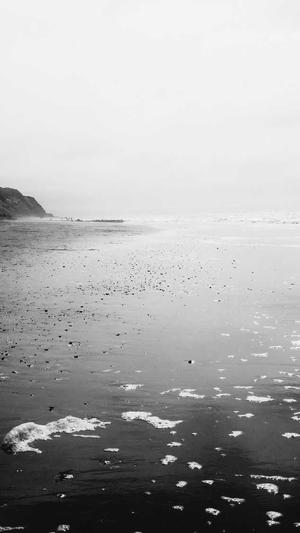 超级蜘蛛池教学截图2