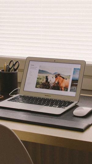 seo外链工具2017截图2