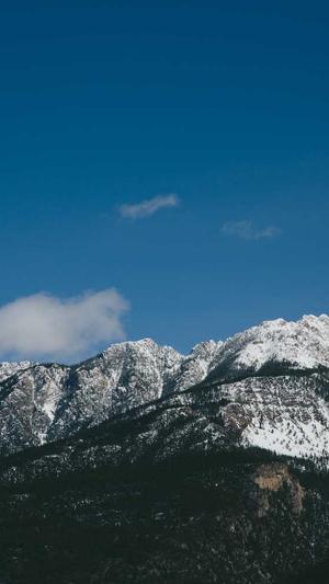 蜘蛛池软件公司截图1