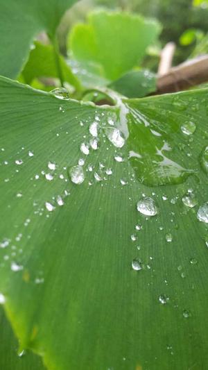 seo管家中心截图1