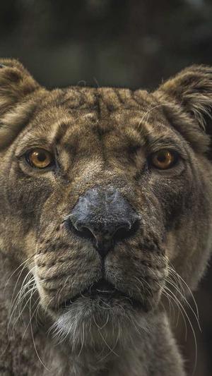 蜘蛛池跳转方法截图2