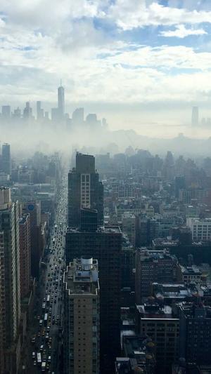 天津工程建设信息网站截图3