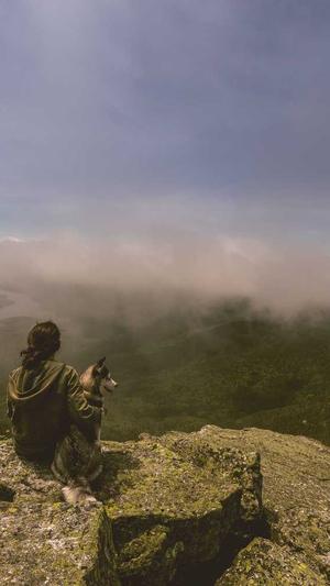 seo关键词排名工具截图4