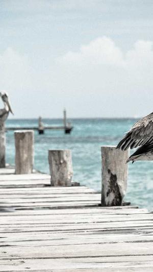 蜘蛛池搭建图解步骤截图4