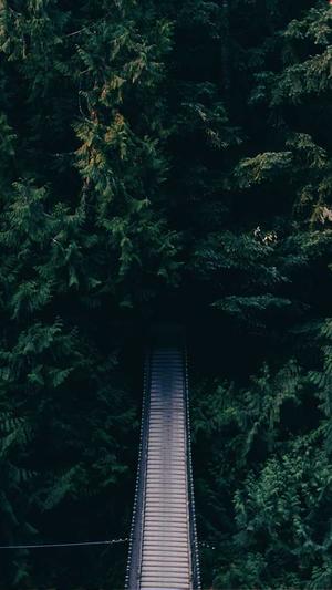 加强网站建设截图3