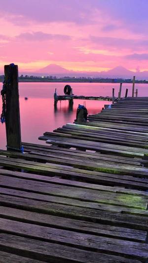 品牌seo优化截图1