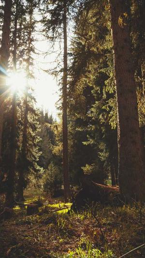 零距离泛目录源码截图5