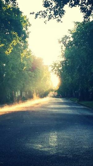 超能seo工具截图1