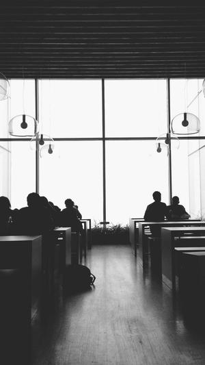 蜘蛛池搭建要求截图2