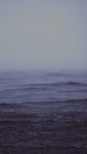 百度推广seo截图2