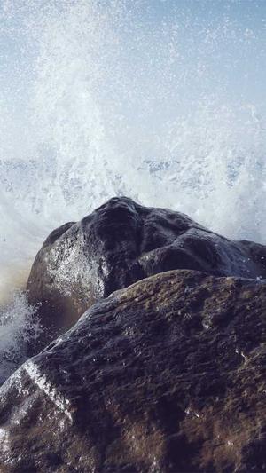 新手怎么做蜘蛛池工作截图1