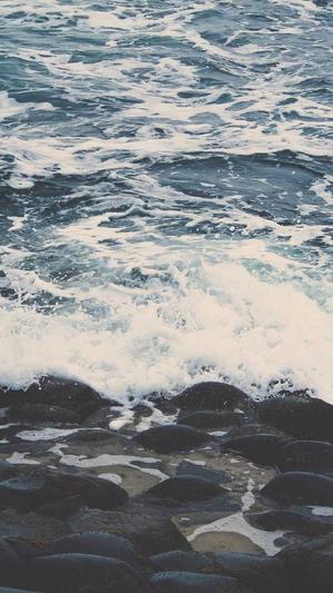 seo优化工具是什么意思截图1