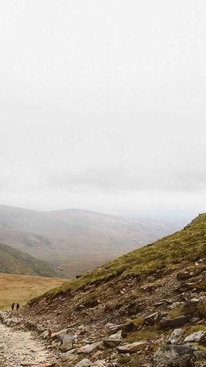 四川网站建设截图4