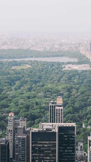 奉贤网站建设截图5