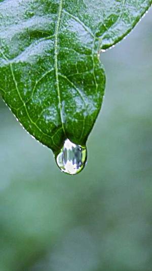 泛目录mip提交截图2