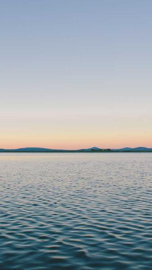 灰色词seo泛目录截图1