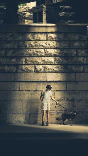 泛目录站群怎么搭建截图2