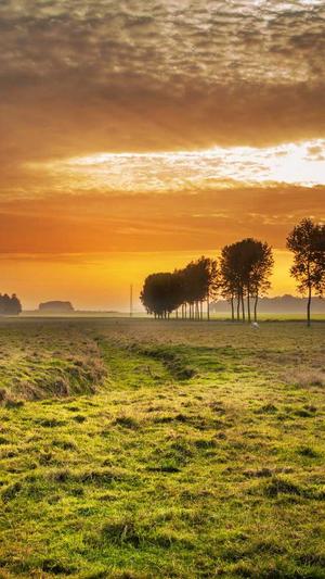 蜘蛛池提高网站权重截图1