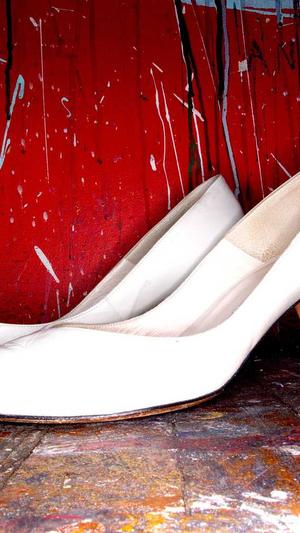 小霸王蜘蛛池是什么截图2