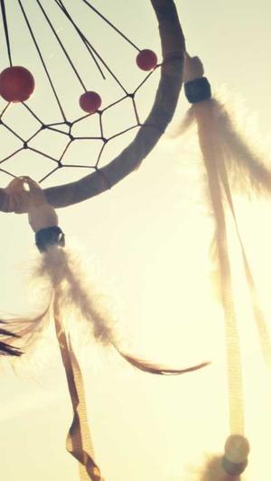 搜外蜘蛛池有用吗截图3