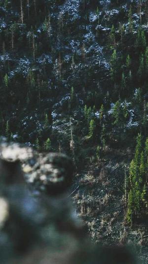 网站建设专家截图2