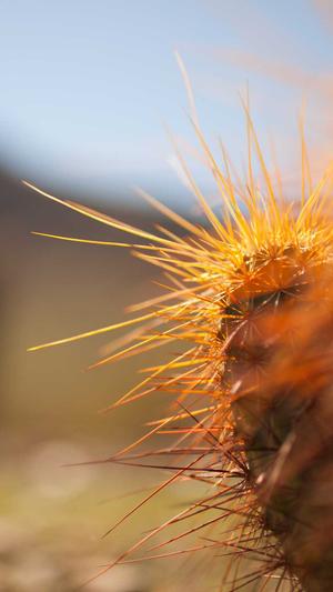 北京网站建设制作截图1