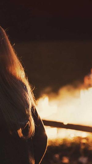 蜘蛛池软件公司截图4