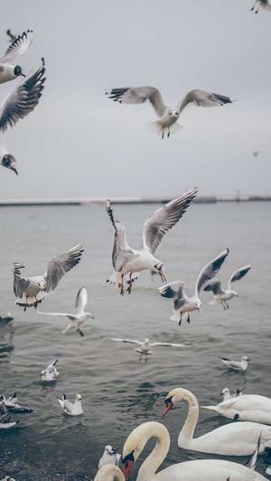 搜狗泛目录批量提交工具截图2